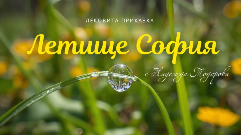 Лековита приказка, разказана на Терминал 2 на летище София – втора част